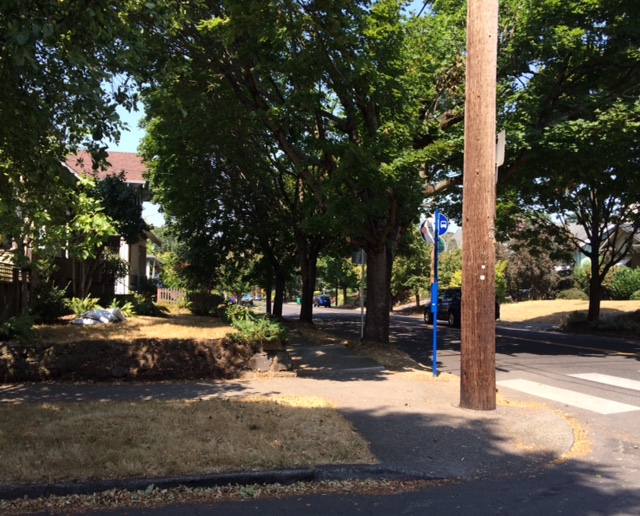 Hollywood Neighborhood